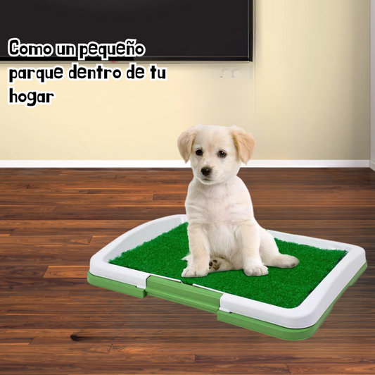 Pee Pad: Tapete sanitario para perros