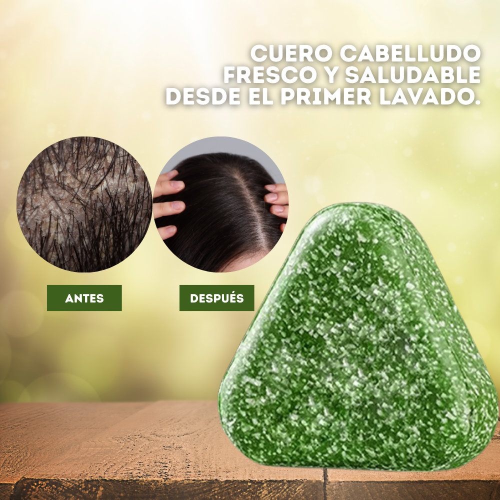 NutriHair: Champú sólido natural